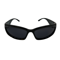 ציפור בלי שמיים