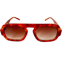 עד שהשמש תחזור להאיר פנינו